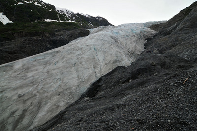 071512-44_Exit_glacier.jpg