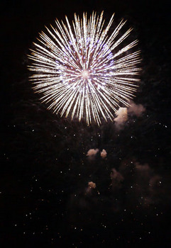 Fireworks_2010-03.jpg