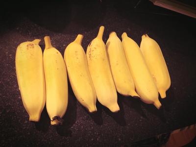 banana_110313-02.jpg