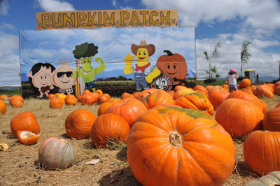 pumpkin_patch_102812-02.jpg